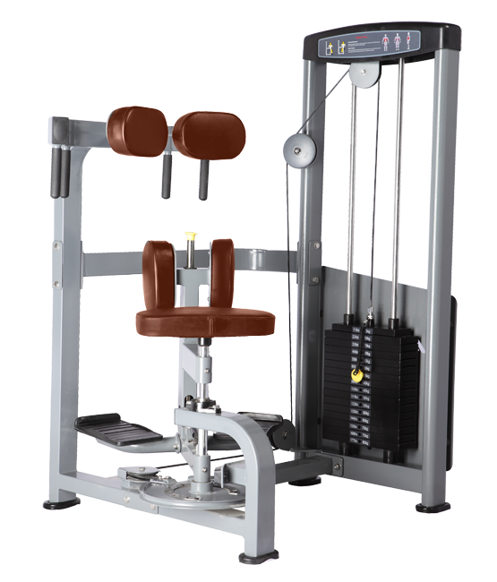 BRONZE GYM D-011 Торс-машина (КОРИЧНЕВЫЙ)