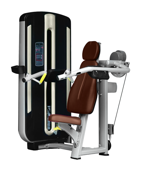 BRONZE GYM MNM-003A Дельта-машина