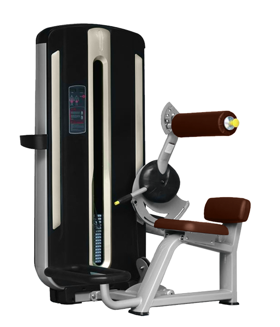 BRONZE GYM MNM-009 Разгибание спины