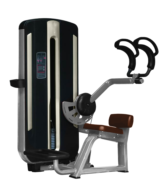 BRONZE GYM MNM-010 Пресс-машина